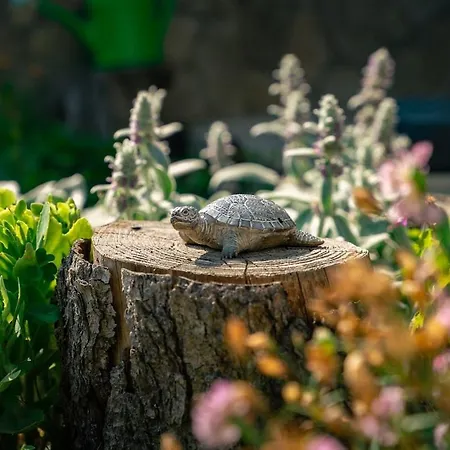 2br Cozy House Near Tsarevets Fortress *