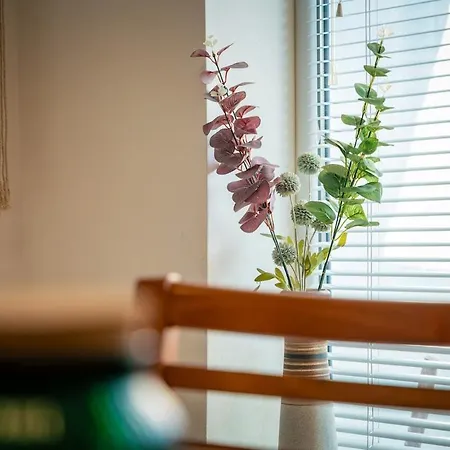 Apartment 2br Cozy House Near Tsarevets Fortress Veliko Tarnovo