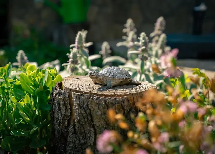 2br Cozy House Near Tsarevets Fortress *